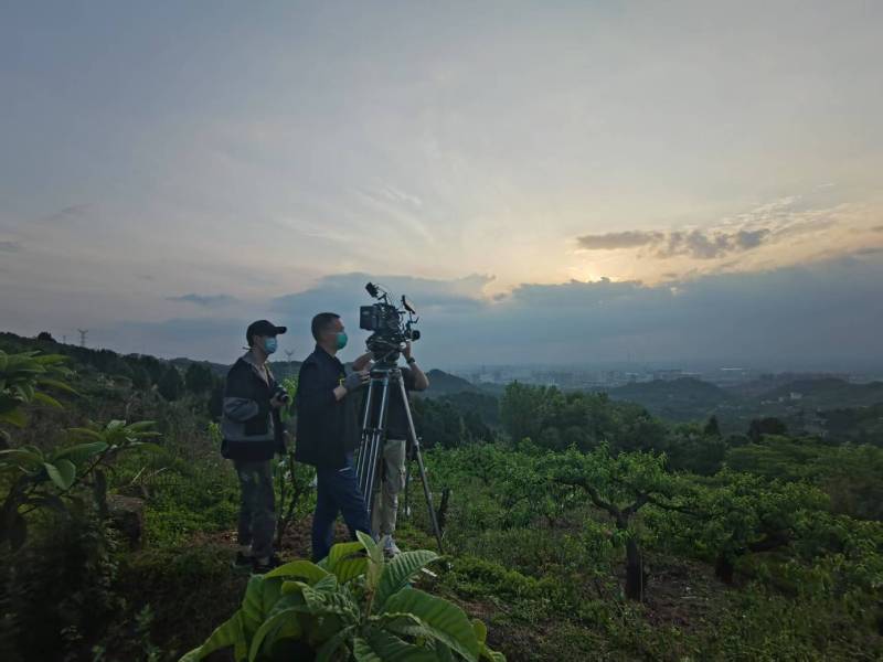 创意破圈！源城区电商产品宣传视频用故事化叙事引爆流量