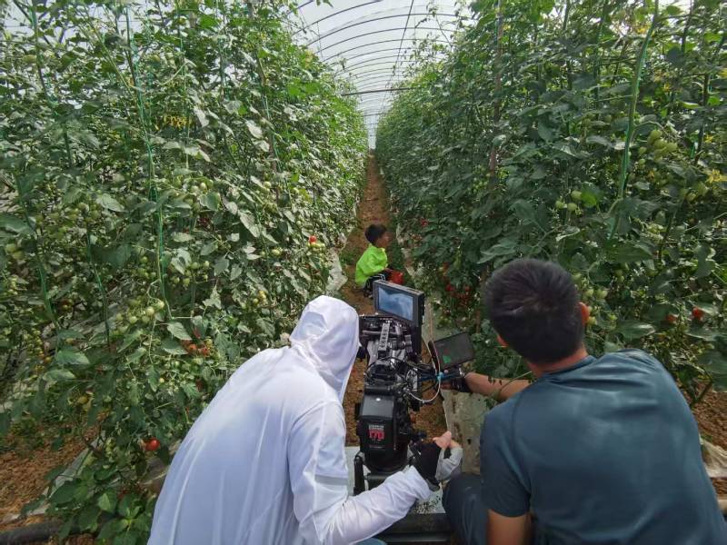 源城区产品宣传视频拍摄公司进阶指南，助力品牌抢占传播高地